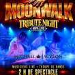 Concert Moonwalk - Tribute M.Jackson