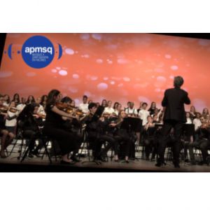 Les Solistes De La Villedieu - Apmsq Les Solistes De La Villedieu - Apmsq