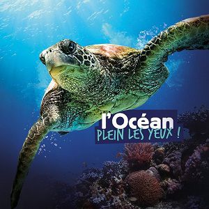 Visite De L'océarium - Aquarium Du Croisic Visite De L'océarium - Aquarium Du Croisic