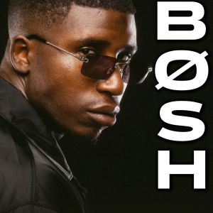 Bosh Bosh