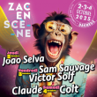 Festival ZAC EN SCENE / SAM SAUVAGE -  VICTOR SOLF