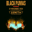 Concert BLACK PUMAS à Toulouse @ ZENITH TOULOUSE METROPOLE - Billets & Places