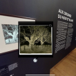 Expo NOIR ET BLANC - VISITE AUTONOME AVEC AUDIOGUIDE à PARIS @ GRAND PALAIS - Billets & Places