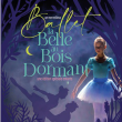Spectacle Une Edition Sp&eacute;ciale Enfants : La Belle au Bois Dormant