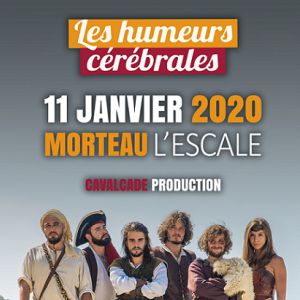 Les Humeurs Cérébrales Les Humeurs Cérébrales