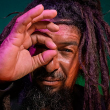 Spectacle TI RAT ROUGE REGGAE ET INVITÉS - FULL MOON 30 ANS