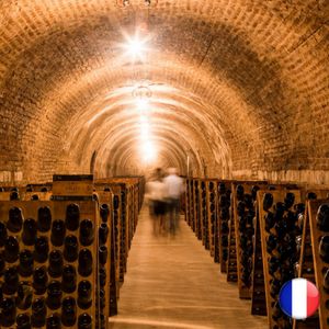 Cité Du Champagne - Visite En Français Cité Du Champagne - Visite En Français
