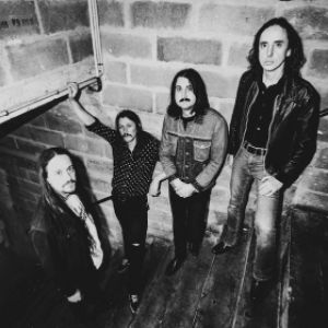 The Datsuns