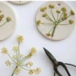 ATELIER EMPREINTE VEGETALE (3-6 ANS)