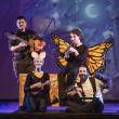 Spectacle Flash, le petit papillon dont les minutes sont cont&eacute;es...