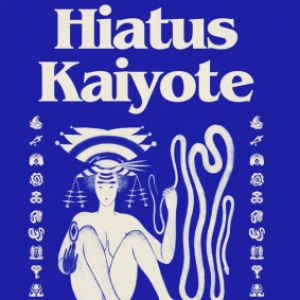 Hiatus Kaiyote