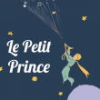 Spectacle LE PETIT PRINCE à NAMUR @ GRANDE SALLE - THEATRE DE NAMUR - Billets & Places