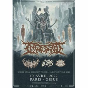 Ingested + Guest Ingested + Guest
