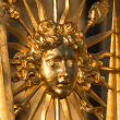 Visite Versailles remarquable : l'Opéra royal