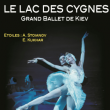 Spectacle - LE LAC DES CYGNES - à PLOUGONVELIN @ THEATRE ESPACE KERAUDY - Billets & Places