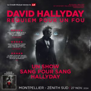 David Hallyday