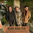 Concert Wajdi Riahi Trio