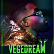 Concert VEGEDREAM &agrave; LILLE @ Z&eacute;nith de Lille - Billets & Places