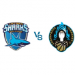 Match ANTIBES - REIMS @ Azurarena Antibes - Billets & Places
