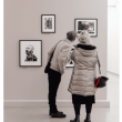 ST-ART : Visite de l'exposition ZOOM  &agrave; ERSTEIN @ Auditorium Mus&eacute;e Wurth - Billets & Places