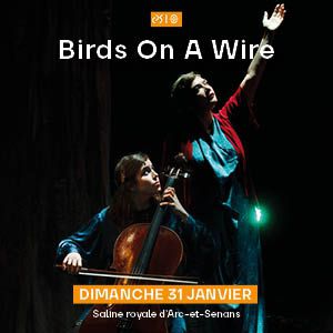 Affiche — Birds On A Wire