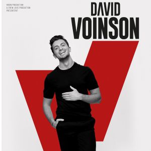 Affiche DAVID VOINSON