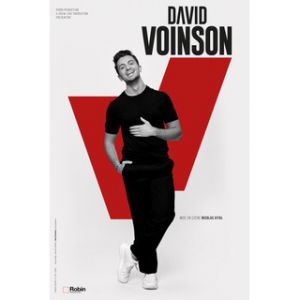David Voinson