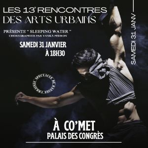 les 13E RENCONTRES DES ARTS URBAINS