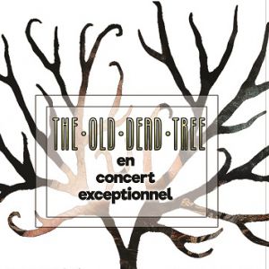 The Old Dead Tree The Old Dead Tree